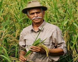 Shri Prashant Maniar